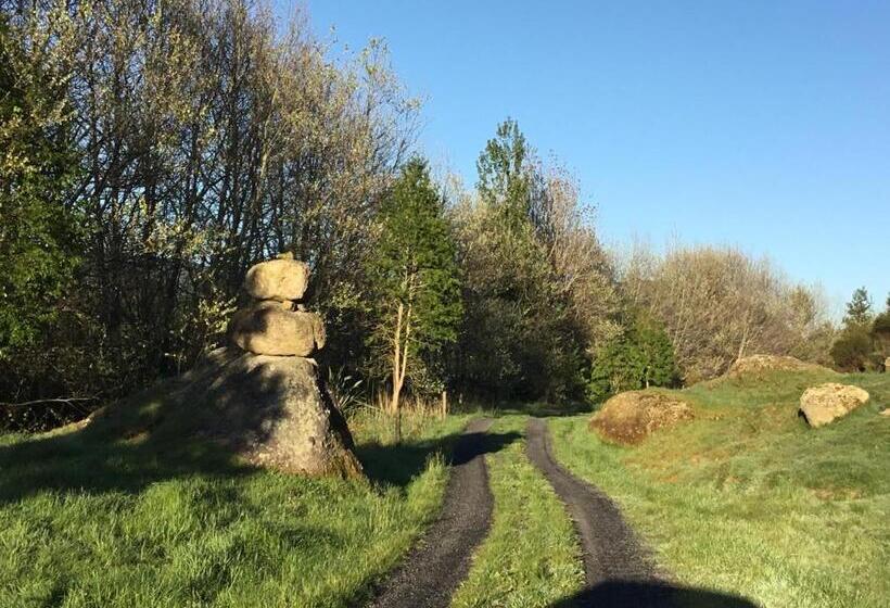 בית מלון כפרי Waihi Gold Alpacas 1 Or 2 People