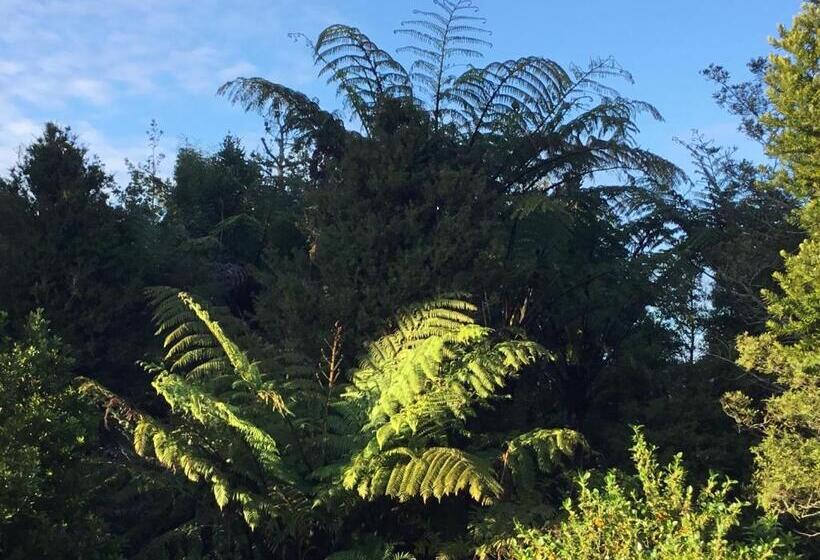 בית מלון כפרי Waihi Gold Alpacas 1 Or 2 People