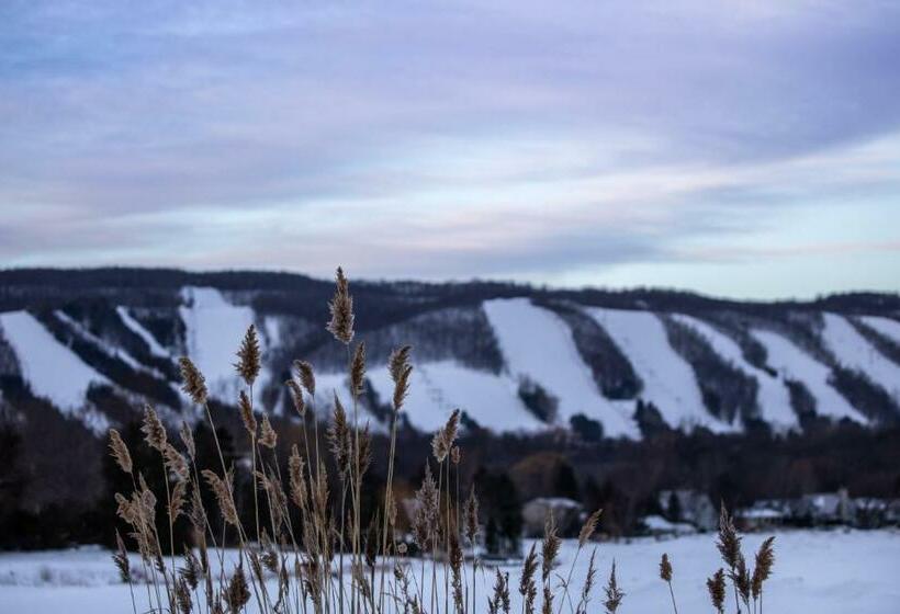 فندق على الطريق Boutique Suite #5