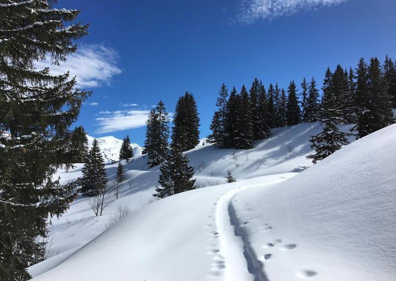 פנסיון Atelier Des Sapins Blancs