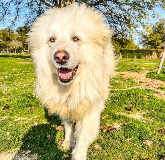 פנסיון Chambre Zen Château De La Bouchatte