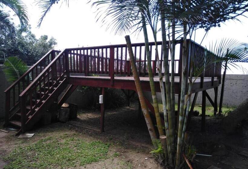 بنسيون Dunbar Mellow 2