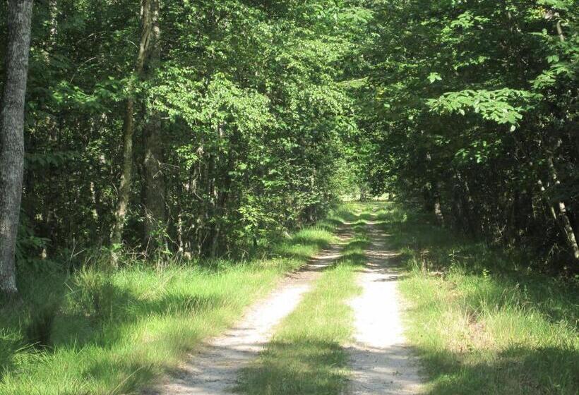 بنسيون Le Clos Du Cerf   Le Sous Bois