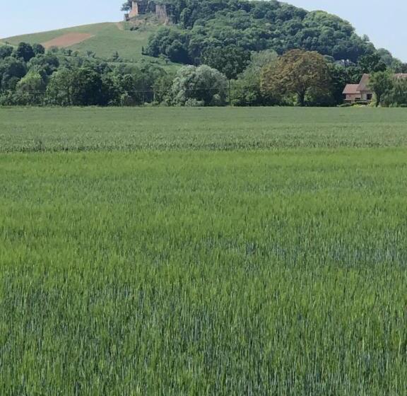 ベッドアンドブレックファースト Au Lavoir Du Serein L Eventail