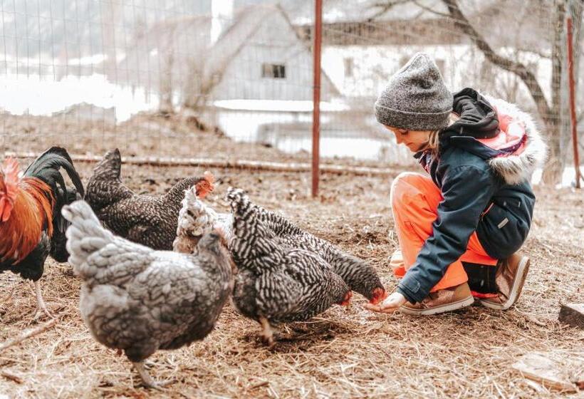 בית מלון כפרי Adelwöhrer Bauernhaus