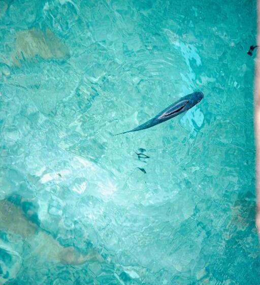 فندق Maritim Marina Bay Resort & Casino