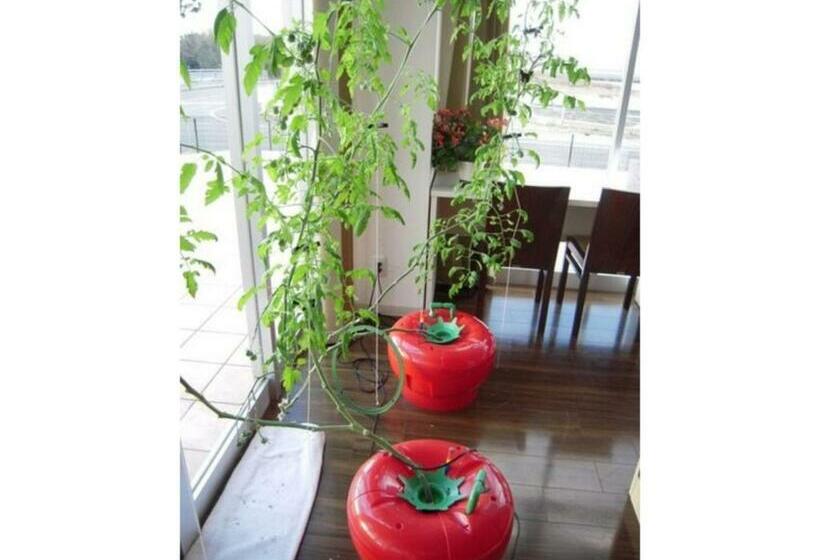 Wind City Hotel   Vacation Stay 81473