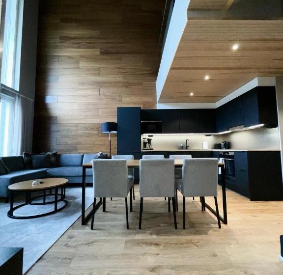 Levin Kunkku B Penthouse