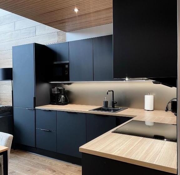 Levin Kunkku B Penthouse