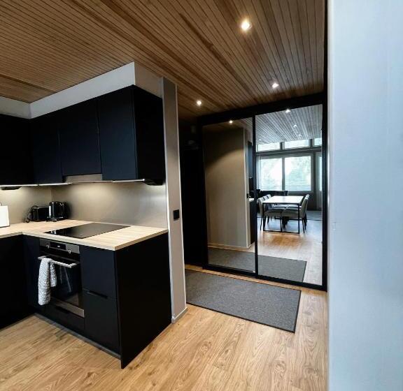 Levin Kunkku B Penthouse