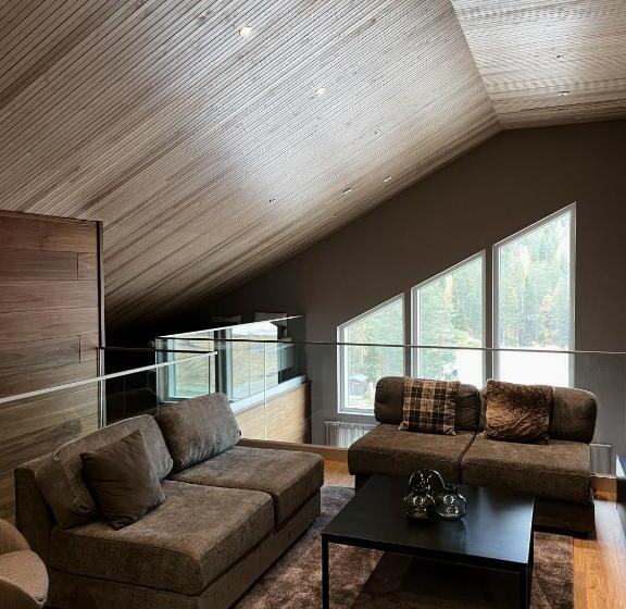 Levin Kunkku B Penthouse