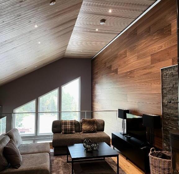 Levin Kunkku B Penthouse