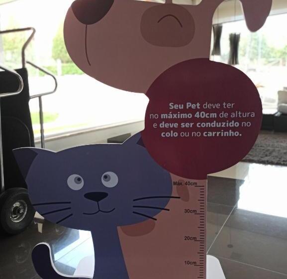 Flats   Veredas Do Rio Quente