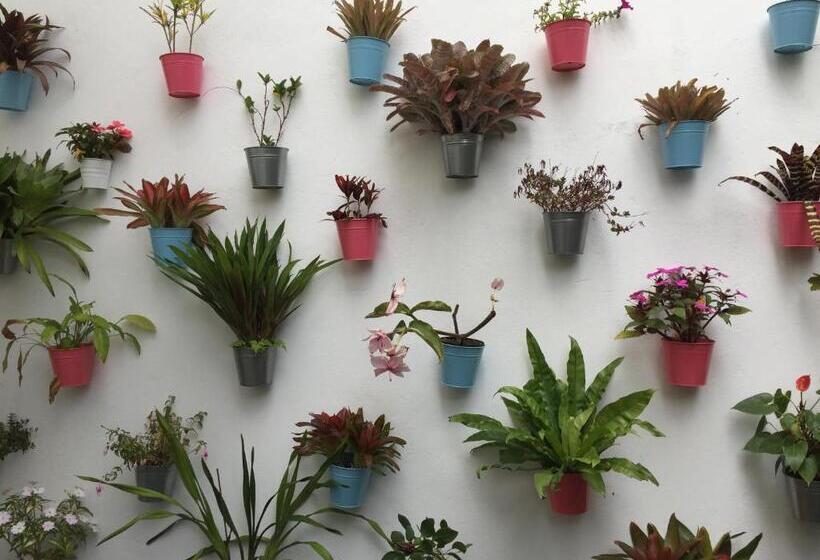 مبيت وإفطار Casa Physalis