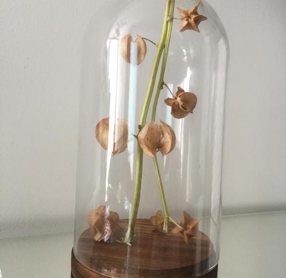 مبيت وإفطار Casa Physalis