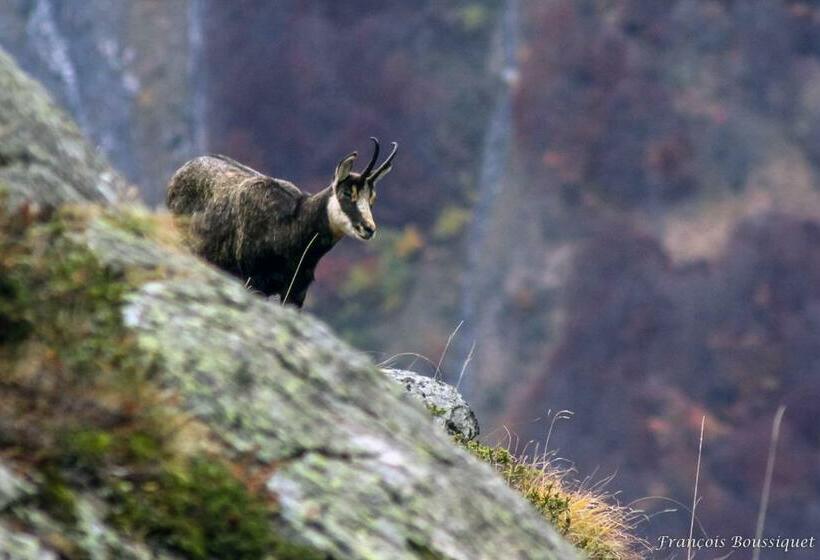 צימר Chambre D Hôte Chez Tourache