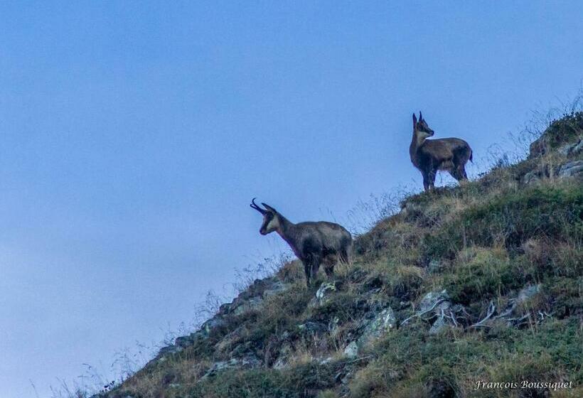 צימר Chambre D Hôte Chez Tourache