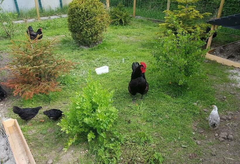 민박 Hausnordlicht Dachspitze