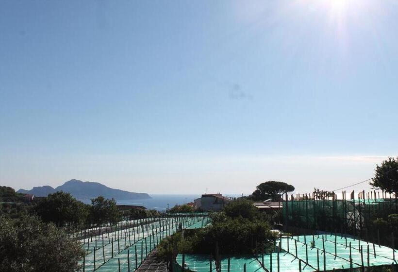 צימר Sunset House