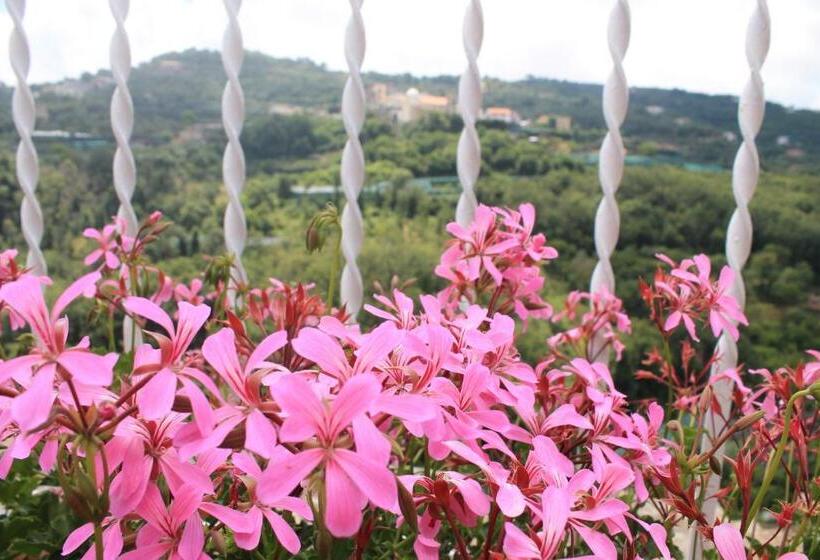 צימר Sunset House