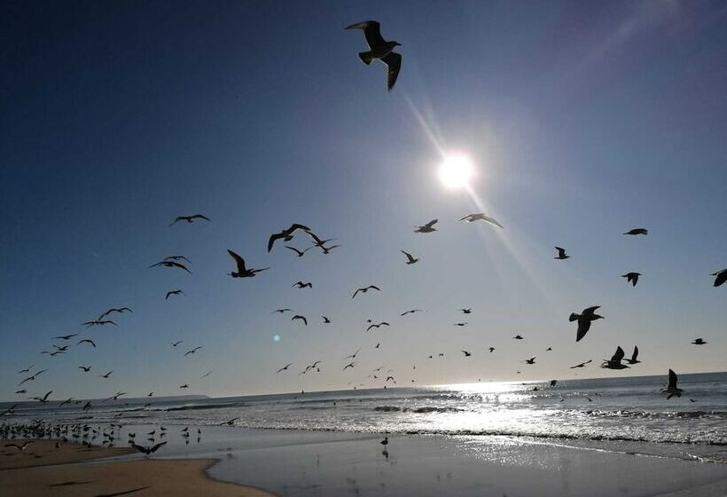 Fonte Da Telha Beach Hostel