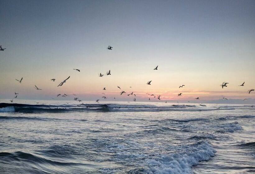 Fonte Da Telha Beach Hostel