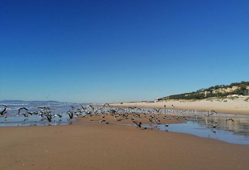 Fonte Da Telha Beach Hostel