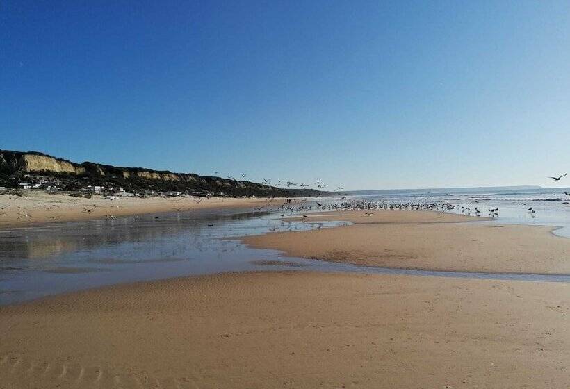 Fonte Da Telha Beach Hostel