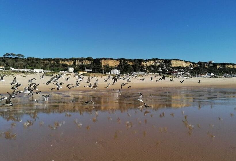 Fonte Da Telha Beach Hostel