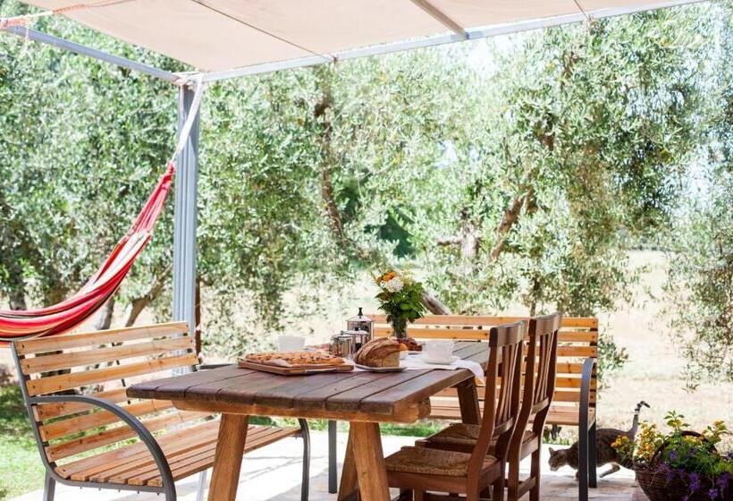 ホテル Agriturismo Fontetrilla