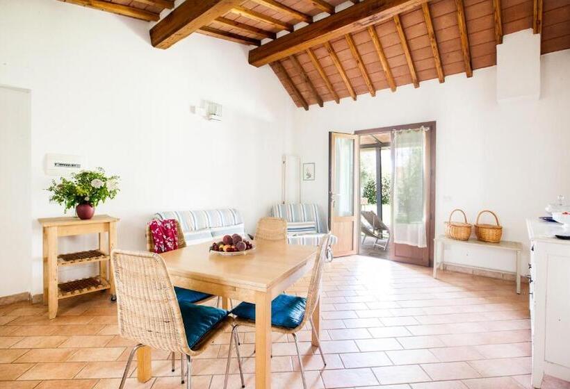 ホテル Agriturismo Fontetrilla