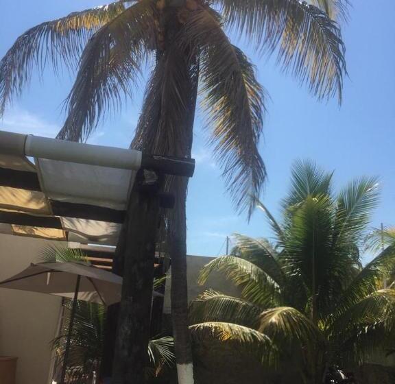 فندق Casa Kinich Sisal