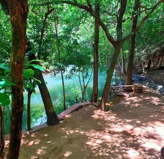 酒店 Park Veredas Resort