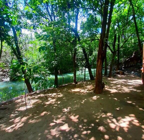 酒店 Park Veredas Resort