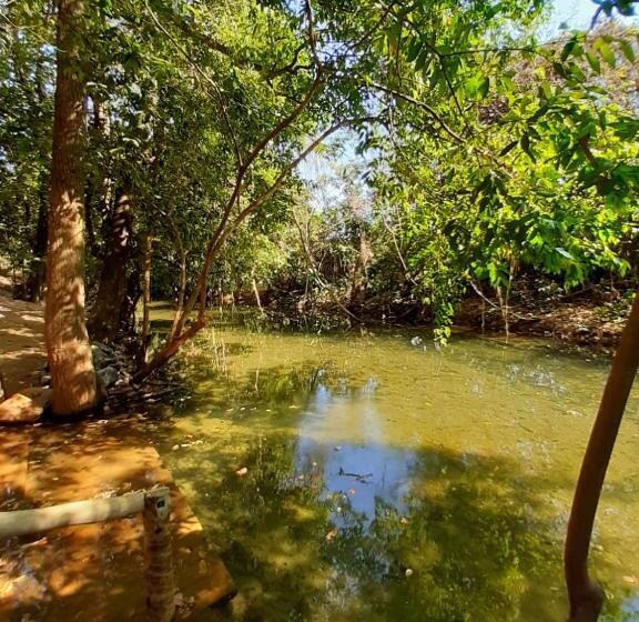 酒店 Park Veredas Resort