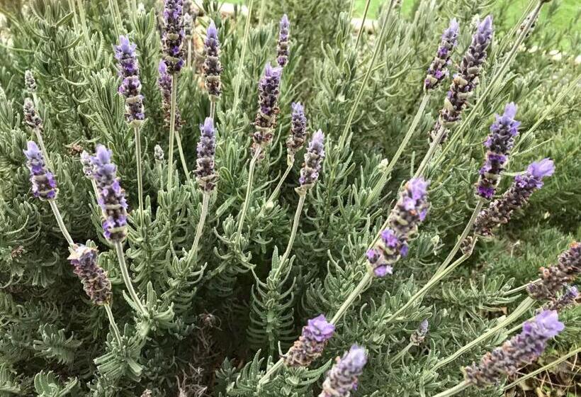 ペンション 8 17 Nomura Motomachi   House / Vacation Stay 1893