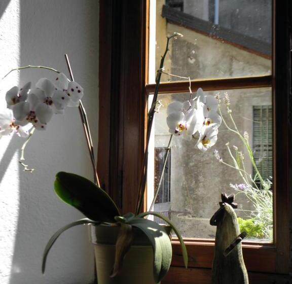 بنسيون Al Vicolo Del Gallo