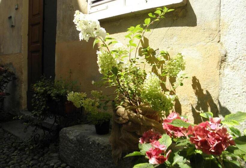 بنسيون Al Vicolo Del Gallo