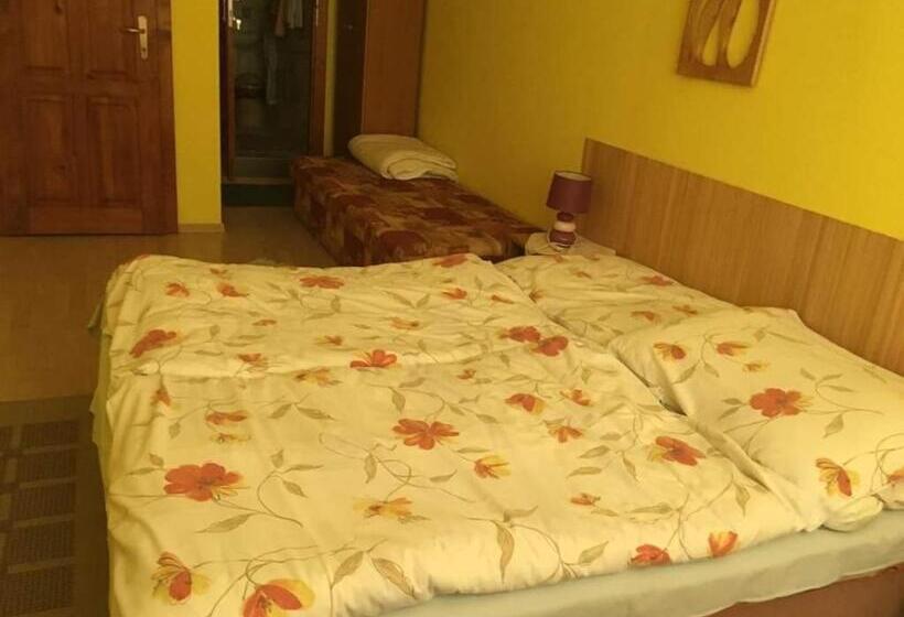 פנסיון G Penzion