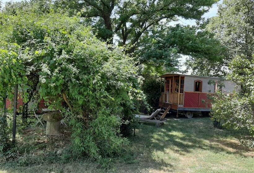 بنسيون Roulotte Marcel Chaix Accueil