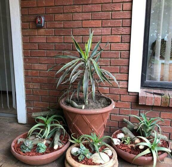 بنسيون The Vineyard West