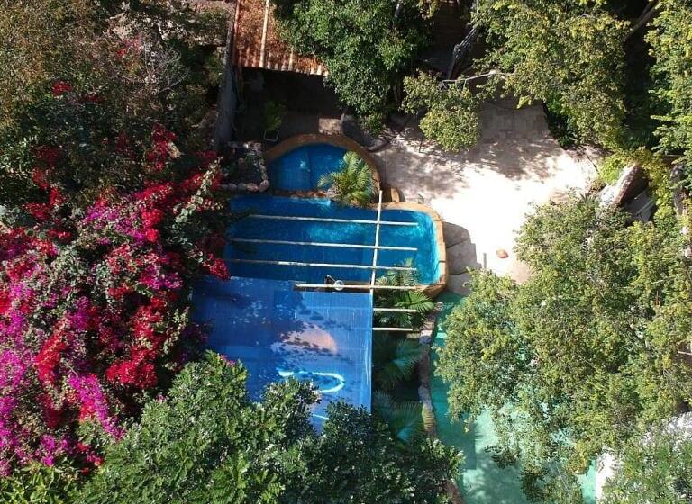 פנסיון Villa Almm