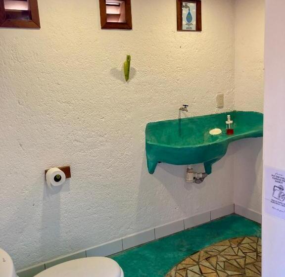 호스텔 Posada Paloma