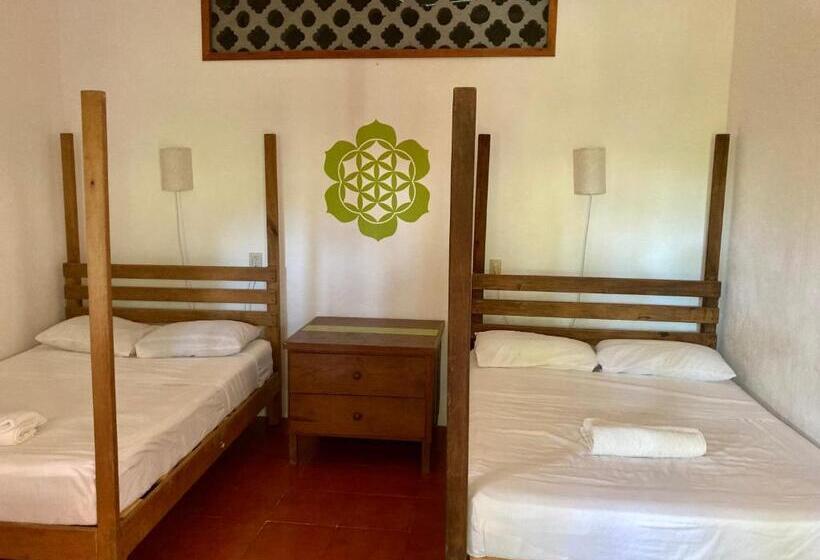 호스텔 Posada Paloma