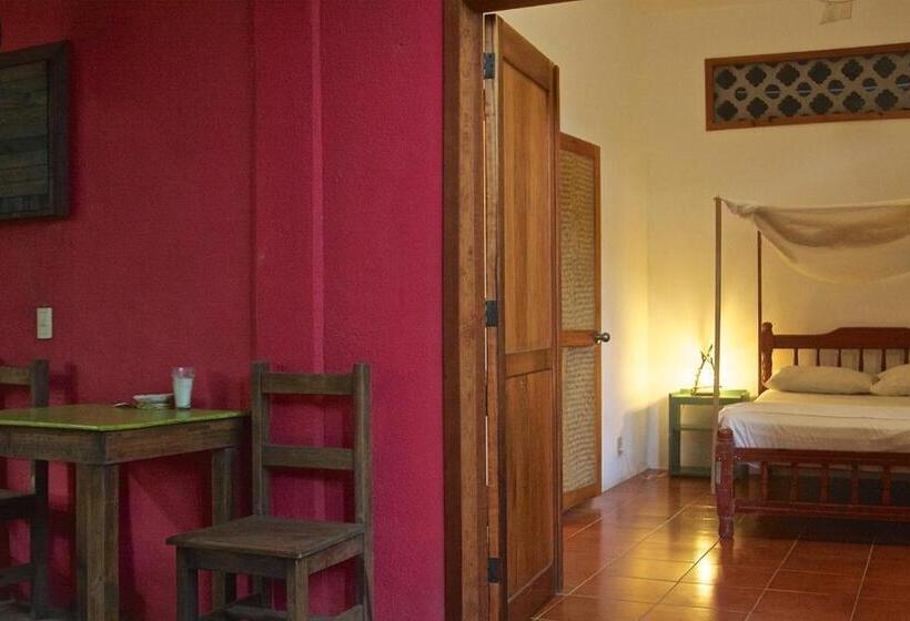 فندق صغير Posada Paloma