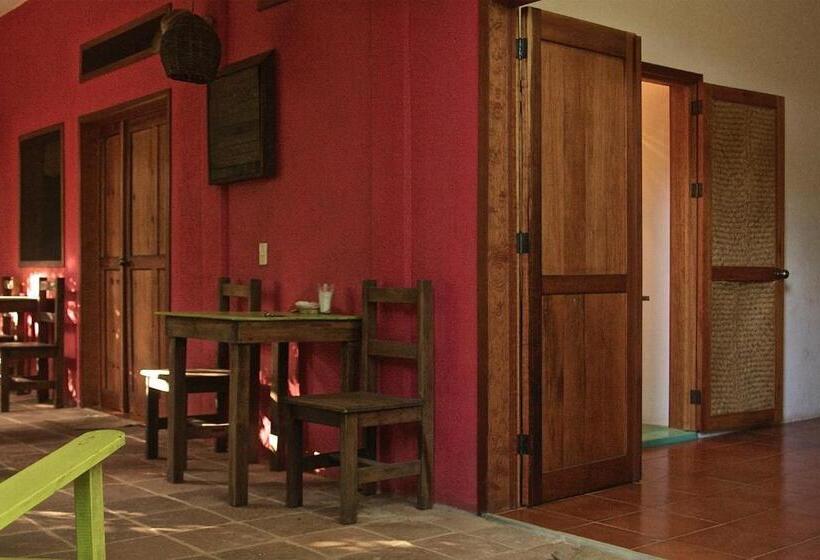 호스텔 Posada Paloma