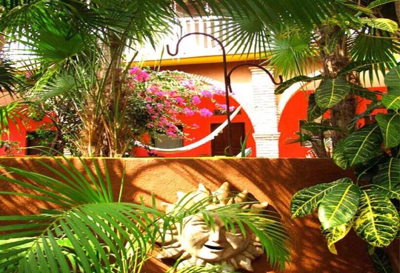 فندق صغير Posada Paloma