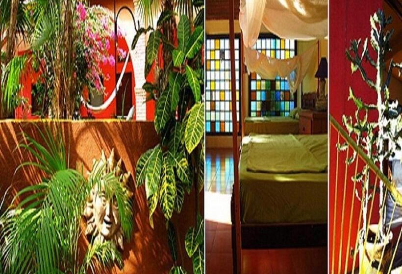 호스텔 Posada Paloma