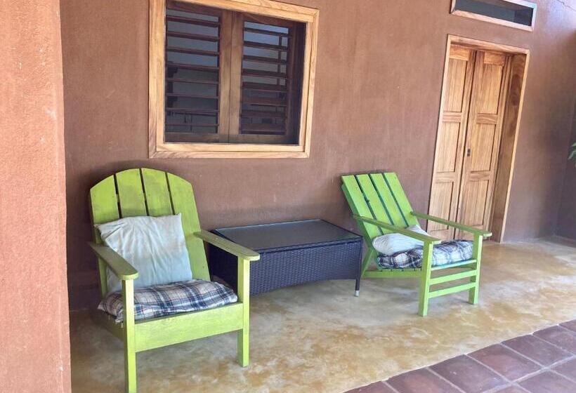 فندق صغير Posada Paloma