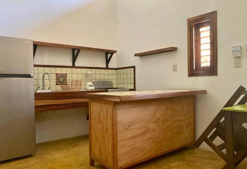 호스텔 Posada Paloma